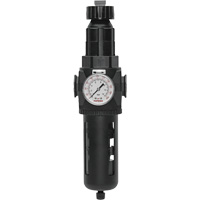 Modulair 400 Filter/Regulator with Manual Drain, 3/4" NPT, 200 psi, 9.1 fl. oz. Capacity FMT Sales Ltd