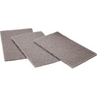Tampons manuels Scotch-Brite, Carbure de silicium, 6" x 9", Grain Moyen FMT Sales Ltd