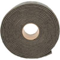 Ruban de nettoyage et de finition Scotch-Brite, Tr&egrave;s fin, 4" la x 30' lo FMT Sales Ltd