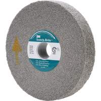 Scotch-Brite EXL Deburring Wheel, 6" x 1", 1" Arbor FMT Sales Ltd