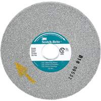 Scotch-Brite EXL Deburring Wheel, 6" x 1/2", 1" Arbor, Aluminum Oxide FMT Sales Ltd