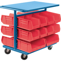 Bin Cart with Bins, Double-sided, 20 bins, 24" W x 38-1/2" D x 36-1/2" H FMT Sales Ltd