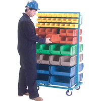 Mobile Bin Racks - Double Sided, 0 Bins, 36" W x 24" D x 67-1/2" H FMT Sales Ltd