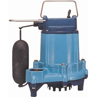 Pompes submersibles/pour effluents, 53 gal./h, 115 V, 5 A, 1/3 CV FMT Sales Ltd