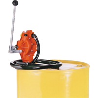 Pompes &agrave; transfert, Thermoplastique, 32 oz/course, Pour barils de 55 gal./33 gal. FMT Sales Ltd