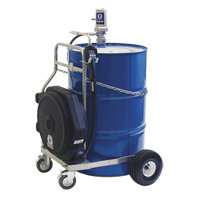 Pompe &agrave; huile pneumatique de s&eacute;rie LD, 7,8 gal./min, Rapport de pression de 3:1 FMT Sales Ltd