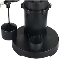 Pompe de puisard submersible thermoplastique, 2560 gal./h, 115 V, 4,6 A, 1/3 CV FMT Sales Ltd