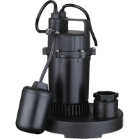 Pompe de puisard submersible thermoplastique, 2560 gal./h, 115 V, 4,6 A, 1/3 CV FMT Sales Ltd