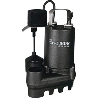 Pompe de puisard submersible en fonte avec interrupteur &agrave; flotteur vertical, 67 gal./min, 33 V, 5 A, 1/3 CV FMT Sales Ltd