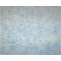 High-Arrestance Synthetic Media Filters, Pad, MERV 5, 24" W x 2" D x 12" H FMT Sales Ltd