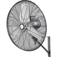 Oscillating Wall Fan, Industrial, 24" Dia., 2 Speeds FMT Sales Ltd