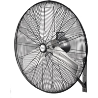 Ventilateur mural non oscillant, Industriel, 2 vitesses, Diam&egrave;tre de 30" FMT Sales Ltd