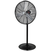 Ventilateur oscillant sur socle, Robuste, 3 Vitesses, Diam&egrave;tre de 30" FMT Sales Ltd
