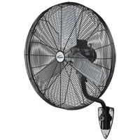 Oscillating Wall Fan, Heavy-Duty, 30" Dia., 3 Speeds FMT Sales Ltd