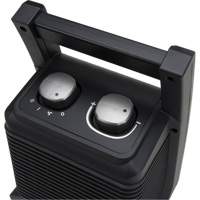 Portable Heater, Ceramic, Electric, 5115 BTU/H FMT Sales Ltd