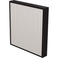 AeraMax&reg; Pro AM3 & AM4 2" True HEPA Filter, Box, 13.75" W x 2.25" D x 14.38" H FMT Sales Ltd