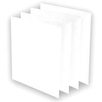 Pr&eacute;-filtres AeraMax Pro AM3 ou AM4, 13,75" la x 0,13" p x 14,38" h FMT Sales Ltd