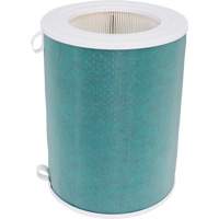 Filtre HEPA/carbone pour purificateur d'air AeraMax SE, Cartouche, MERV 13, 10,25" la x 10,25" p x 13,38" h FMT Sales Ltd