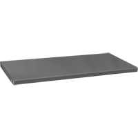 Replacement Cabinet Shelves, 47-1/2" x 16-3/8", 700 lbs. Capacity, Steel, Grey FMT Sales Ltd