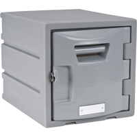 Casier, 12" x 15" x 12", Gris, Assembl&eacute; FMT Sales Ltd