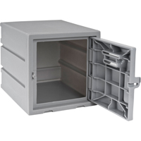 Casier, 12" x 15" x 12", Gris, Assembl&eacute; FMT Sales Ltd
