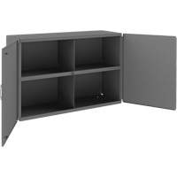 Wall-Mountable Cabinet, 24" H x 33-13/16" W x 12-3/8" D, 1 Shelves, Steel, Grey FMT Sales Ltd