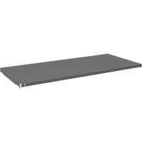 Cabinet Shelf, 47-3/4" x 21-3/8", 750 lbs. Capacity, Grey FMT Sales Ltd