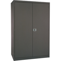 Armoires de rangement Hi-Boy profondes, Acier, 4 Tablettes, 72" h x 36" la x 24" P, Charbon FMT Sales Ltd