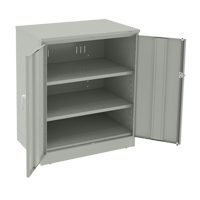 Armoire &agrave; hauteur de comptoir de luxe, Acier, 2 Tablettes, 42" h x 36" la x 24" P, Gris p&acirc;le FMT Sales Ltd