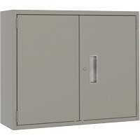 Armoire murale, Acier, 2 Tablettes, 30" h x 36" la x 12" P, Gris FMT Sales Ltd