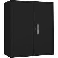 Armoire de rangement Lo-Boy, Acier, 2 Tablettes, 42" h x 36" la x 18" P, Noir FMT Sales Ltd