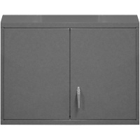 Wall-Mounted Cabinet, 27" H x 29-7/8" W x 13-11/16" D, 2 Shelves, Steel, Grey FMT Sales Ltd