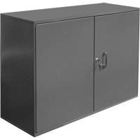 Armoire pour accessoires abrasifs, Acier, 2 tiroirs, 33-3/4" x 11-7/8" x 23-7/8", Gris FMT Sales Ltd