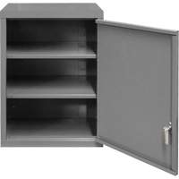 Wall-Mounted Cabinet, 27" H x 13-11/16" W x 18" D, 2 Shelves, Steel, Grey FMT Sales Ltd