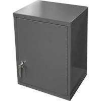 Wall-Mounted Cabinet, 27" H x 13-11/16" W x 18" D, 2 Shelves, Steel, Grey FMT Sales Ltd