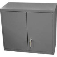 Wall-Mounted Cabinet, 27" H x 13-11/16" W x 35-7/8" D, 2 Shelves, Steel, Grey FMT Sales Ltd