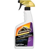 Multi-Purpose Cleaner, 473 ml, Trigger Bottle FMT Sales Ltd