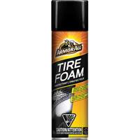 Protecteur pour pneus Tire Foam FMT Sales Ltd