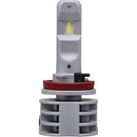 Ampoule pour feu avant H11, DEL, 13,2 W/17 W, Blanc FMT Sales Ltd