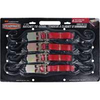 Tendeurs d'arrimage &agrave; cliquet, Crochet en S, 1" , 12' , Charge d'utilisation max. 500 lb (230 kg) FMT Sales Ltd