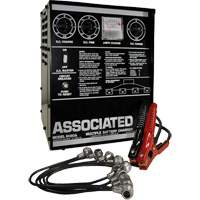 Multi-Battery Series Charger FMT Sales Ltd
