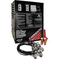 Multi-Battery Series Charger FMT Sales Ltd