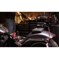 Genius&reg; 10 10-Amp Battery Charger FMT Sales Ltd