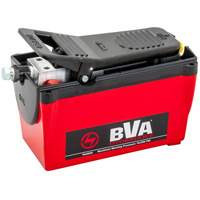 Pompe &agrave; air &agrave; une vitesse avec r&eacute;servoir de 122,1 po³ FMT Sales Ltd