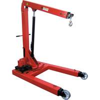 Electro Hydraulic Floor Crane, 6613.87 lbs. (3 tons) Capacity FMT Sales Ltd