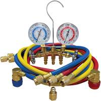 Automotive Manifold Gauge Set with Economy Couplers & Tank Adapter FMT Sales Ltd