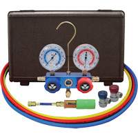 Jeu de manom&egrave;tres pour automobile avec mini-injecteur de colorant et coupleurs manuels FMT Sales Ltd