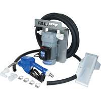 Pompe de transfert de fluide d'&eacute;chappement diesel (DEF) 115 V CA avec support pour cuve GRV et pistolet FMT Sales Ltd