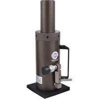 Safety Locking Collar Jack, 6" Stroke, 50 Ton(s) Capacity, 10000 PSI FMT Sales Ltd