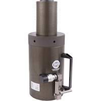 Safety Jack, Locking Collar, 100 tons Capacity, 13-37/100" - 19-3/5" H FMT Sales Ltd